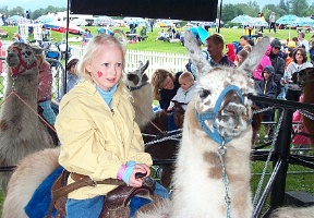 Riding a Llama at the Microsoft summer event