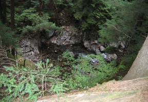 View from the edge of the trail to the creek