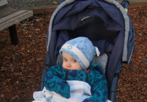 Back in the stroller and ready to go back home