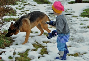 Antti trying to give Enska some snow while going for a walk with the dog at Rattlesnake Lake