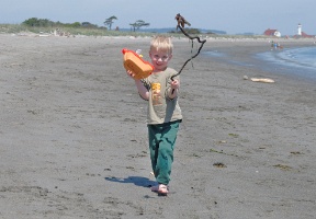 Antti bringing over some sort of sea plant