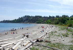 View to the east from the Marine Science Center