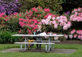 Tuomas having a Taco Del Mar dinner at Chism Park in Bellevue