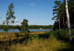 View from close to our home on Kulosaari towards Herttoniemi