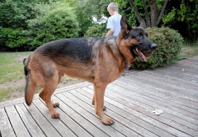 Enska