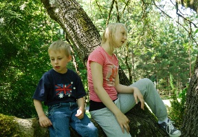 Antti and Johanna in the same tree