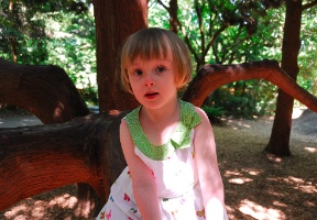 Elsa also climbing in one of the trees