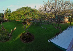 Backyard of the rental house in Captain Cook