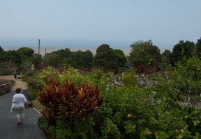 Walking towards the cemetery