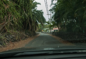 The road to our rental house was pretty narrow