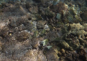 P1010051