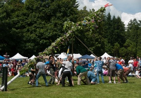 Raising the majstång