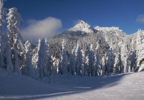 Looking towards Denny Mountain and the Alpental ski area.