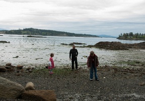 At the beach during low tide
