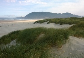 At the beach the next morning