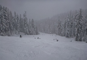 "Outback" at Summit Central