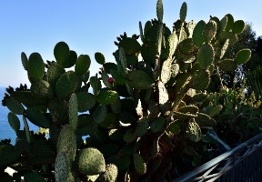  DSC1685 00076
