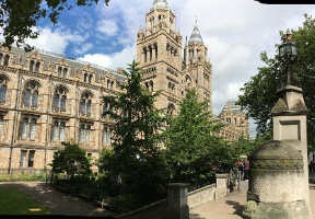 20160727 135055379 iOS