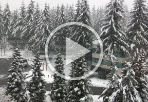 20170206 204710000 iOS