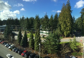 20170316 175258799 iOS