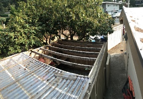 Replacing the shed roof in September before the rainy season starts