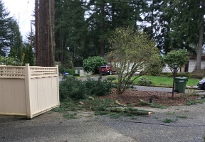 20170327 174624950 iOS