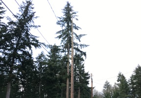 20170328 012026998 iOS