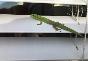 20180220 033927891 iOS